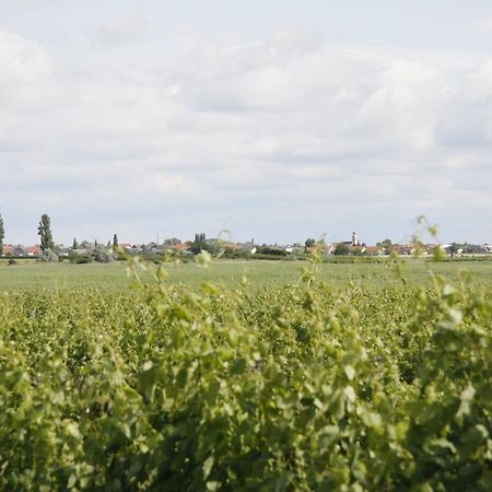 Pension & Weingut Storchenblick Illmitz Eksteriør bilde
