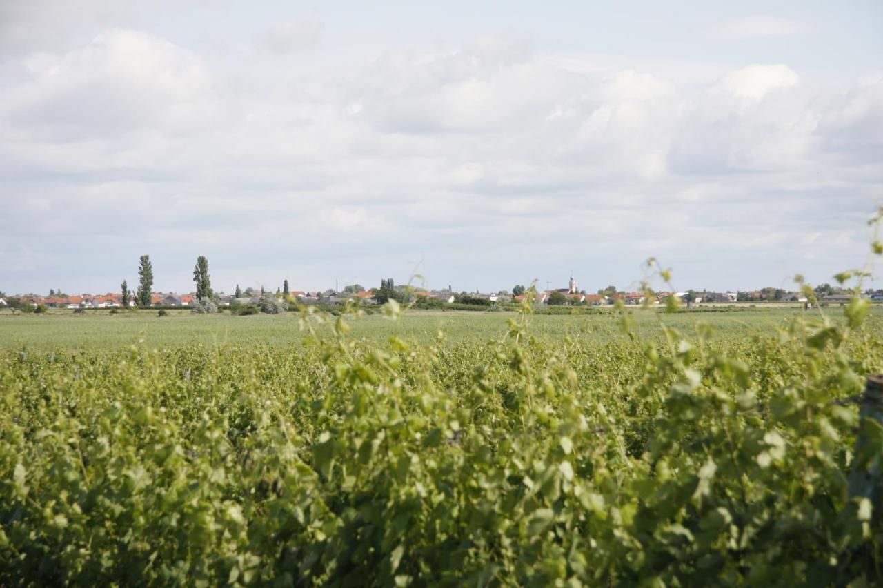Pension & Weingut Storchenblick Illmitz Eksteriør bilde